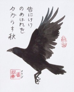 Crow 1