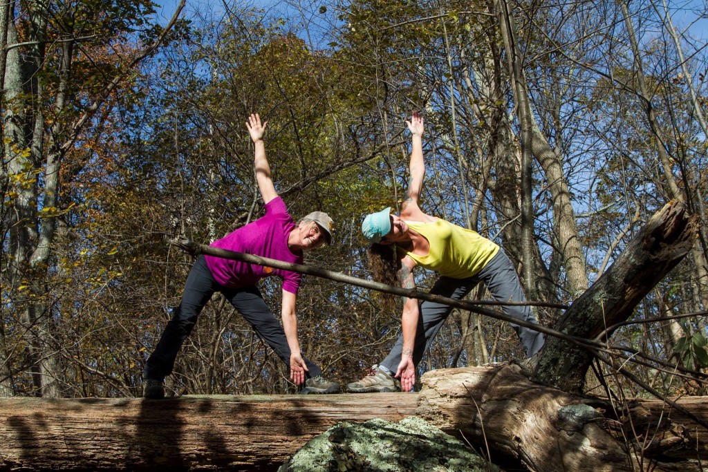 sharon-tina-hikind-2-triangle