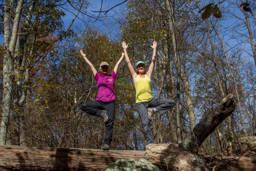 sharon-tina-hikind-3-tree