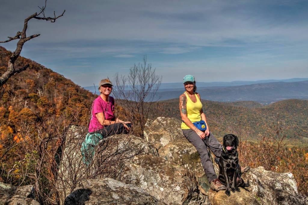 sharon-tina-hikind-6